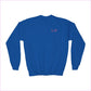 Chasing Dreams Youth Crewneck Sweatshirt - Catching Sunshine Design - Royal / XS - Kids clothes